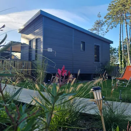 Pour 6 Personnes Avec Piscine Couverte Et Chauffee A 300 M De La Avec Wi-fi Et Climatise , 3